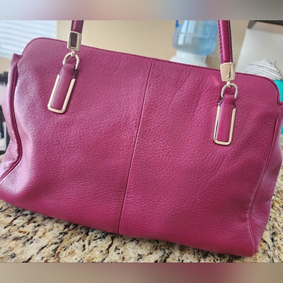 Pink & Gold Coach - Picture 4 of 11